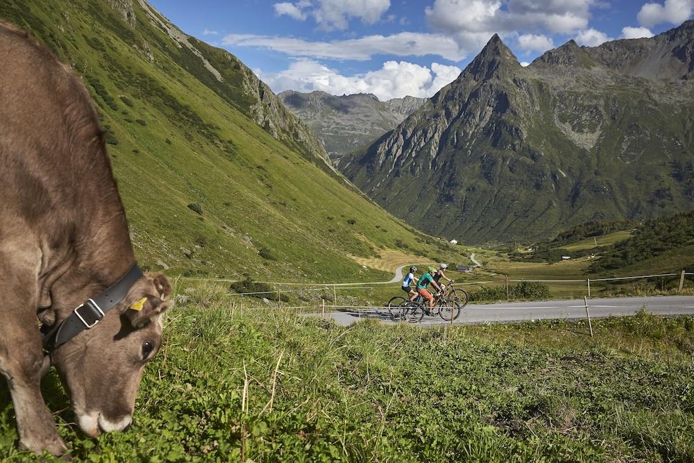 Hotel Silvretta 3*