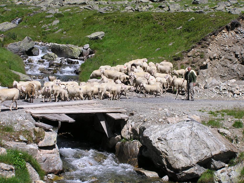 Silvretta
