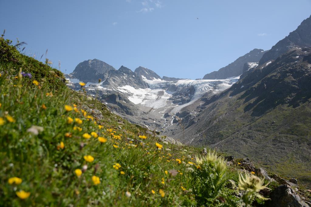Silvretta Hotel