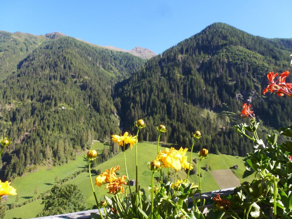 Silvretta 3*